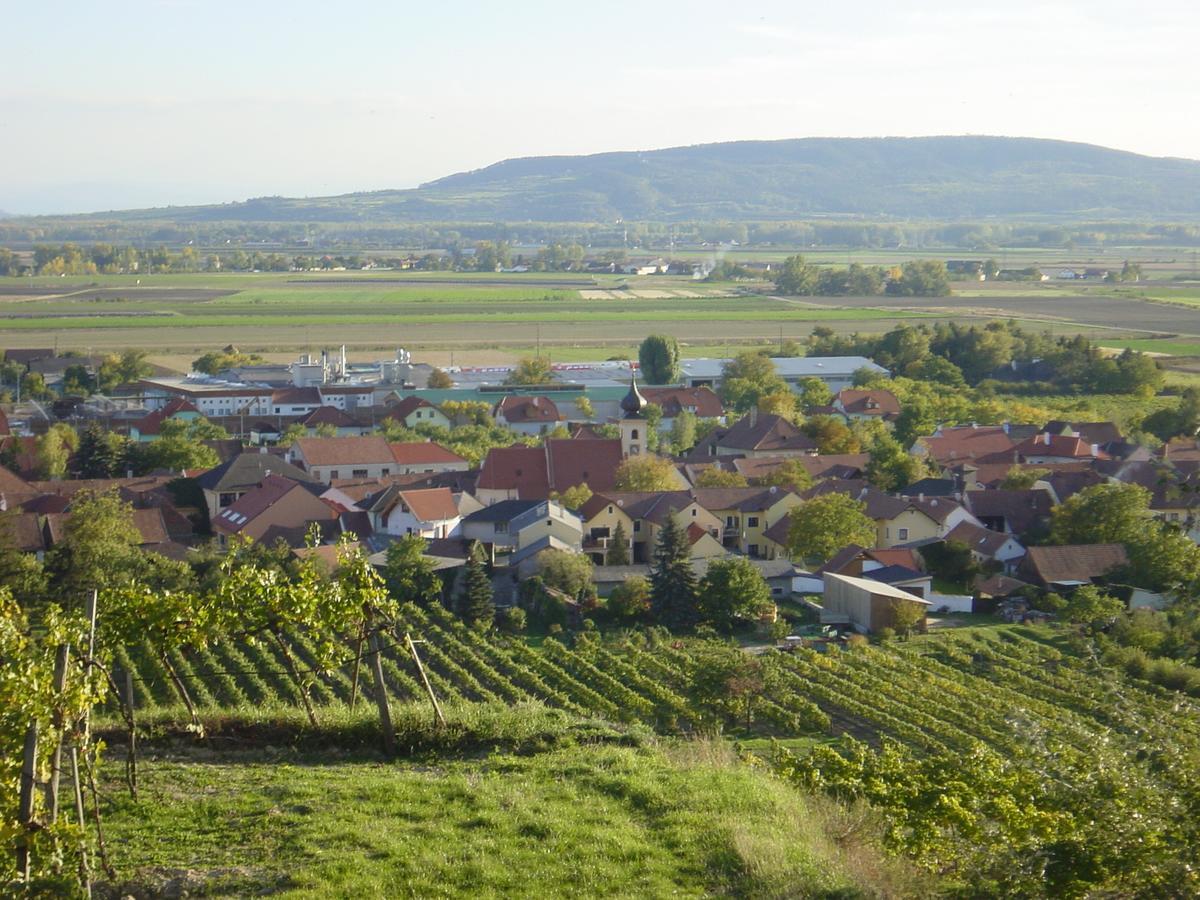 Weingut Und Gaestehaus Berger Gedersdorf Zewnętrze zdjęcie